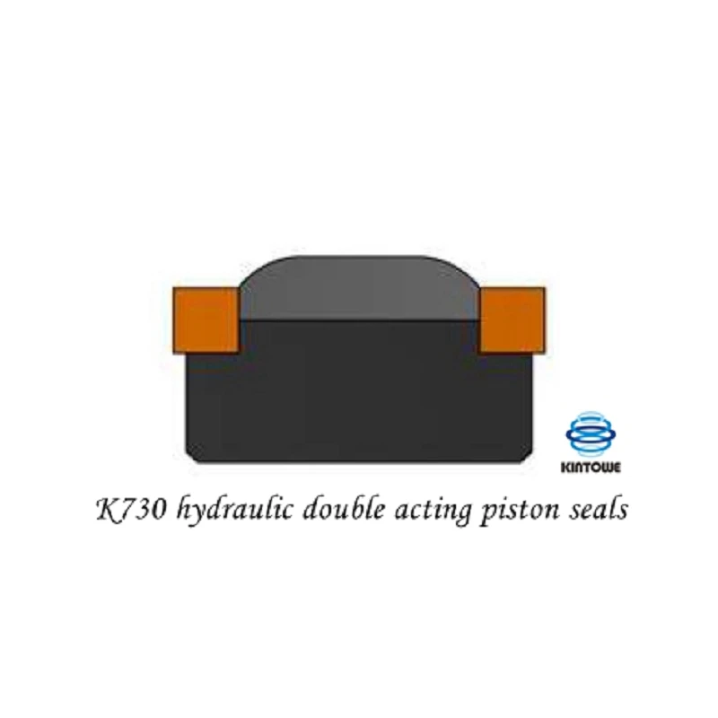 Hydraulic Double Acting Piston Seals
